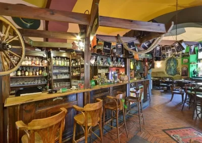 Irish Pub Merlin